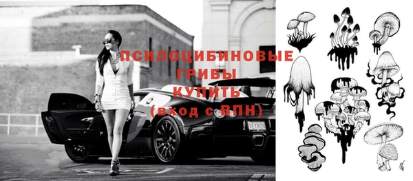 дурь Алзамай