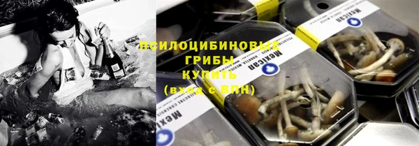 дурь Алексеевка