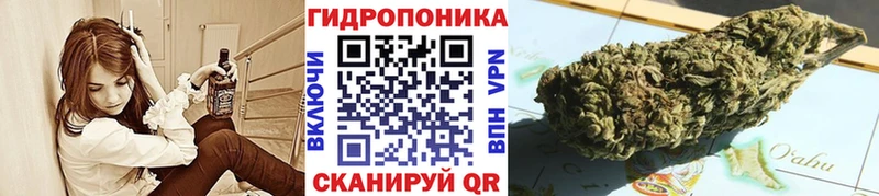 Бошки Шишки THC 21% Порхов